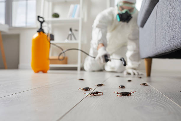 Commercial Kitchen Cockroach Control in West Unity
